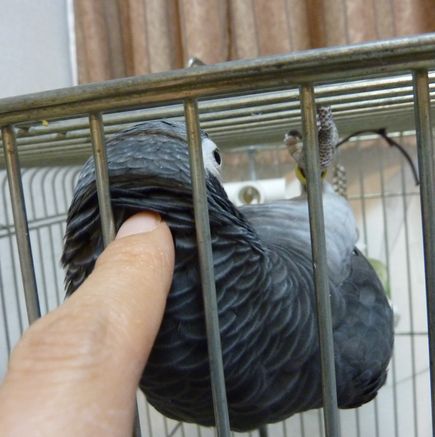 2010-1214-2.JPG