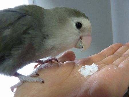 2011-0128-2.JPG