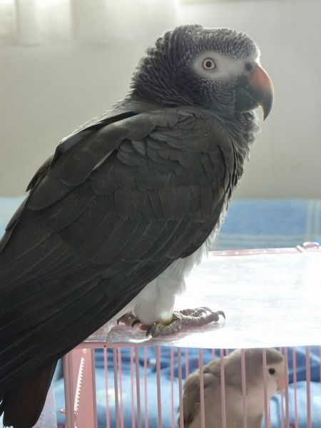 2011-0210-3.JPG